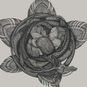 柳菁菁80萃专辑
