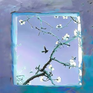 柳菁菁80萃专辑
