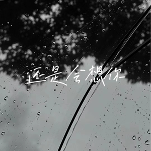 柳菁菁80萃专辑
