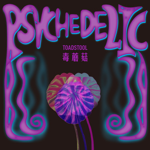 柳菁菁80萃专辑
