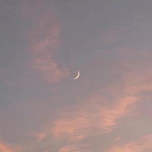 柳菁菁80萃专辑
