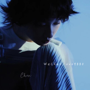 柳菁菁80萃专辑
