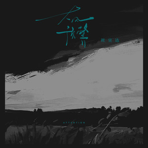 柳菁菁80萃专辑
