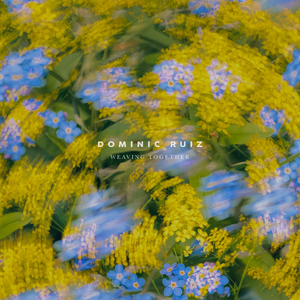 柳菁菁80萃专辑
