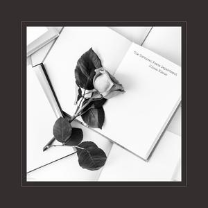 柳菁菁80萃专辑
